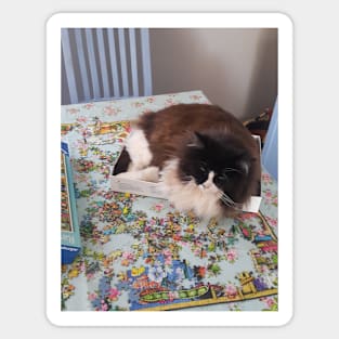 Tuxedo Cat Funny "Thanks for the Convenient Jijsaw Puzzle Box!" cats in boxes Sticker